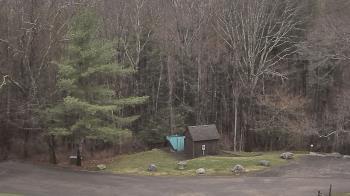 Weather camera view of John Dorr Nature Lab-Horace Mann School.