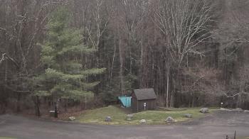 Weather camera view of John Dorr Nature Lab-Horace Mann School.