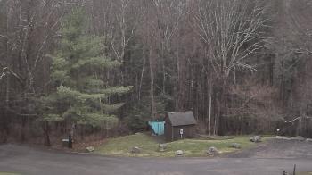 Weather camera view of John Dorr Nature Lab-Horace Mann School.