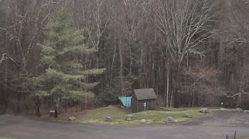 Weather camera view of John Dorr Nature Lab-Horace Mann School.