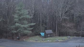 Weather camera view of John Dorr Nature Lab-Horace Mann School.