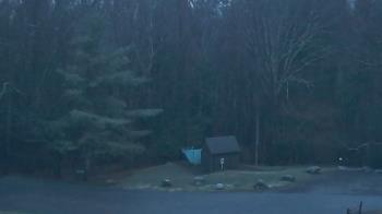 Weather camera view of John Dorr Nature Lab-Horace Mann School.