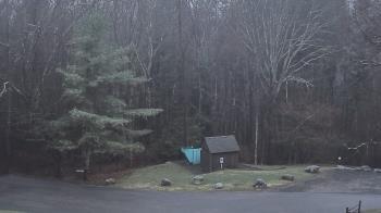 Weather camera view of John Dorr Nature Lab-Horace Mann School.