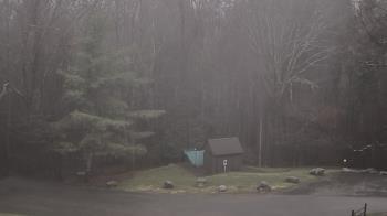 Weather camera view of John Dorr Nature Lab-Horace Mann School.
