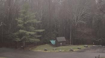 Weather camera view of John Dorr Nature Lab-Horace Mann School.
