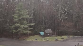 Weather camera view of John Dorr Nature Lab-Horace Mann School.