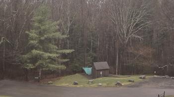 Weather camera view of John Dorr Nature Lab-Horace Mann School.