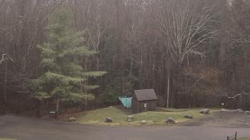 Weather camera view of John Dorr Nature Lab-Horace Mann School.