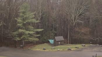 Weather camera view of John Dorr Nature Lab-Horace Mann School.