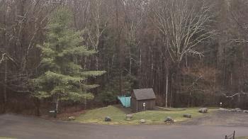 Weather camera view of John Dorr Nature Lab-Horace Mann School.