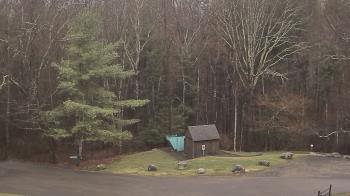 Weather camera view of John Dorr Nature Lab-Horace Mann School.