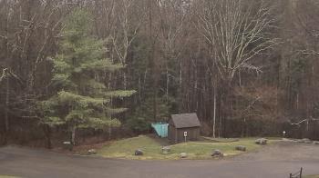 Weather camera view of John Dorr Nature Lab-Horace Mann School.