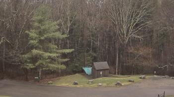 Weather camera view of John Dorr Nature Lab-Horace Mann School.