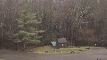 Weather camera view of John Dorr Nature Lab-Horace Mann School.