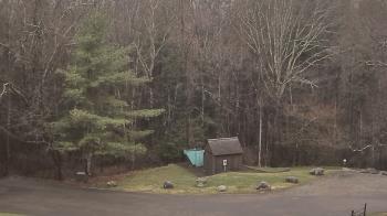 Weather camera view of John Dorr Nature Lab-Horace Mann School.
