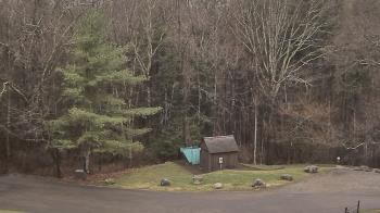 Weather camera view of John Dorr Nature Lab-Horace Mann School.