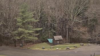 Weather camera view of John Dorr Nature Lab-Horace Mann School.