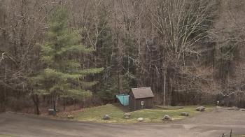 Weather camera view of John Dorr Nature Lab-Horace Mann School.