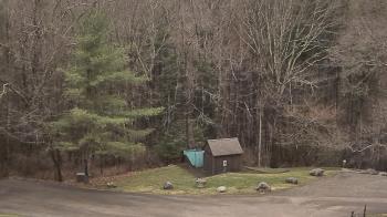 Weather camera view of John Dorr Nature Lab-Horace Mann School.