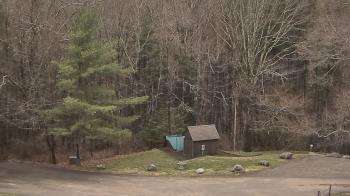 Weather camera view of John Dorr Nature Lab-Horace Mann School.