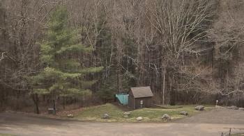 Weather camera view of John Dorr Nature Lab-Horace Mann School.