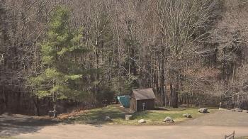 Weather camera view of John Dorr Nature Lab-Horace Mann School.