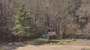 Weather camera view of John Dorr Nature Lab-Horace Mann School.