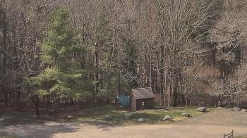 Weather camera view of John Dorr Nature Lab-Horace Mann School.
