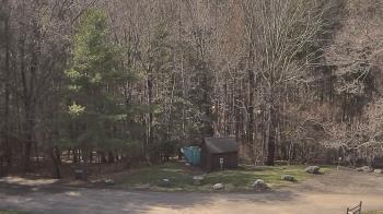 Weather camera view of John Dorr Nature Lab-Horace Mann School.