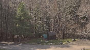 Weather camera view of John Dorr Nature Lab-Horace Mann School.
