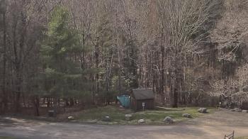 Weather camera view of John Dorr Nature Lab-Horace Mann School.
