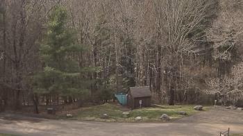 Weather camera view of John Dorr Nature Lab-Horace Mann School.