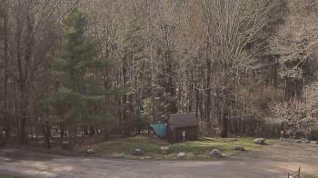 Weather camera view of John Dorr Nature Lab-Horace Mann School.