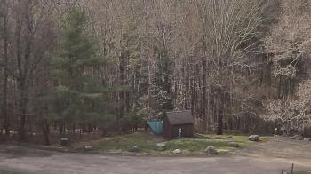 Weather camera view of John Dorr Nature Lab-Horace Mann School.