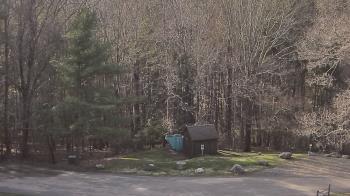 Weather camera view of John Dorr Nature Lab-Horace Mann School.
