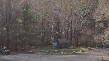 Weather camera view of John Dorr Nature Lab-Horace Mann School.