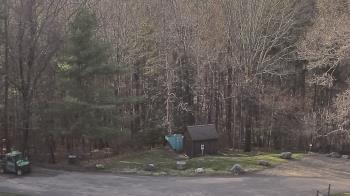 Weather camera view of John Dorr Nature Lab-Horace Mann School.