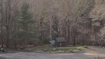 Weather camera view of John Dorr Nature Lab-Horace Mann School.