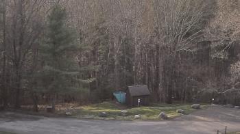 Weather camera view of John Dorr Nature Lab-Horace Mann School.