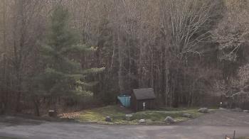 Weather camera view of John Dorr Nature Lab-Horace Mann School.