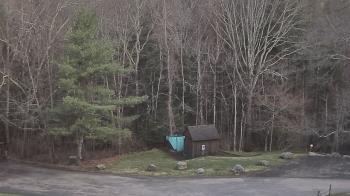 Weather camera view of John Dorr Nature Lab-Horace Mann School.