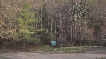 Weather camera view of John Dorr Nature Lab-Horace Mann School.