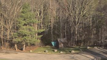 Weather camera view of John Dorr Nature Lab-Horace Mann School.