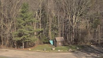 Weather camera view of John Dorr Nature Lab-Horace Mann School.