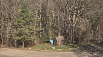 Weather camera view of John Dorr Nature Lab-Horace Mann School.