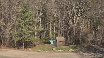 Weather camera view of John Dorr Nature Lab-Horace Mann School.