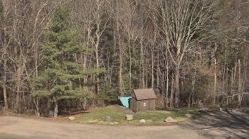 Weather camera view of John Dorr Nature Lab-Horace Mann School.