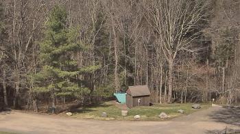 Weather camera view of John Dorr Nature Lab-Horace Mann School.