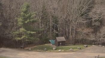 Weather camera view of John Dorr Nature Lab-Horace Mann School.