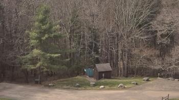 Weather camera view of John Dorr Nature Lab-Horace Mann School.